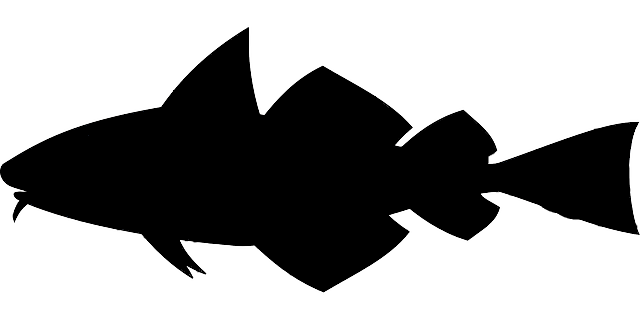 fish-30828_640