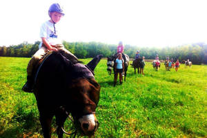 561567 618607768159910 943571013 n