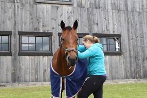 18698401 1452401061447239 3007748923181808881 n