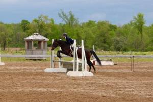 18700312 1452401024780576 6752575577993885682 n