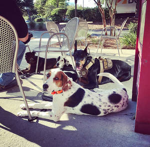 Services page advanced training 1