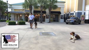 Vlcsnap 2017 11 27 17h30m54s211