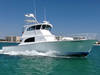 phoenix-charter-boat