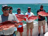 charter-fishing-destin-4