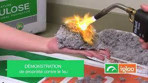 Cell. igloo feu2