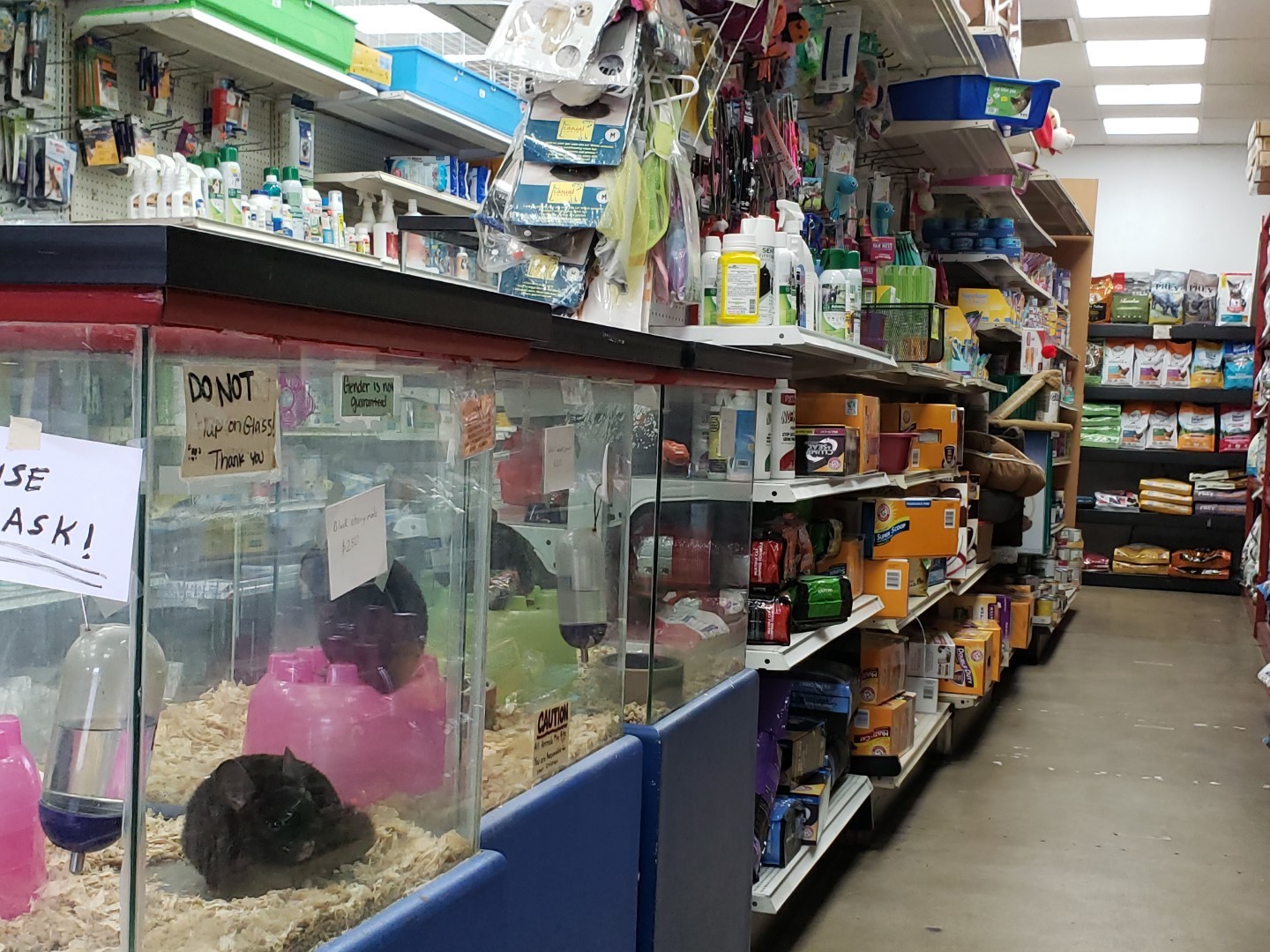 Pet Store in San Diego, CA (619) 2863474 Pet Stuff