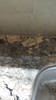 M.D._Granite_Repair_(4)