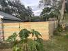 image_6483441_(13)