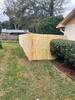 image_6483441_(7)