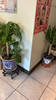 Thai_massage_(6)