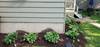 Landscaper_(4)