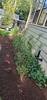 Landscaper_(3)