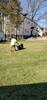 Landscaping_(1)