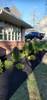 Landscaping_(9)
