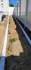 Landscaping_(2)