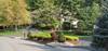 Landscaping_(7)