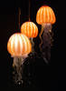 4f31dbb05bf57c7f3b25883d39b9ddc4