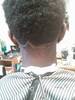 barber-shop_(15)
