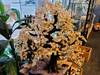 holistic_store_(8)