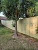 fence-contractor_(4)