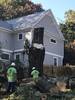 tree_service_3