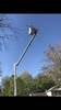 tree_service_5