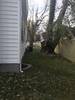 tree_service_8