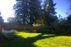 lawn_care_(3)