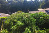 lawn_care_(4)