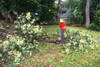 lawn_care_(11)