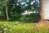 lawn_care_(12)