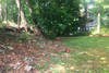 lawn_care_(14)