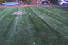 lawn_care_(15)