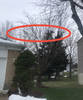 IMG-1028