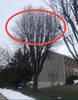IMG-1029