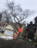 IMG-1031