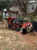 Noel's_Tree_Services_LLC_1-17-22_(4)