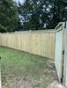 image_6487327_(6)