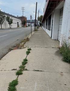 before_commercial_3_(Large)