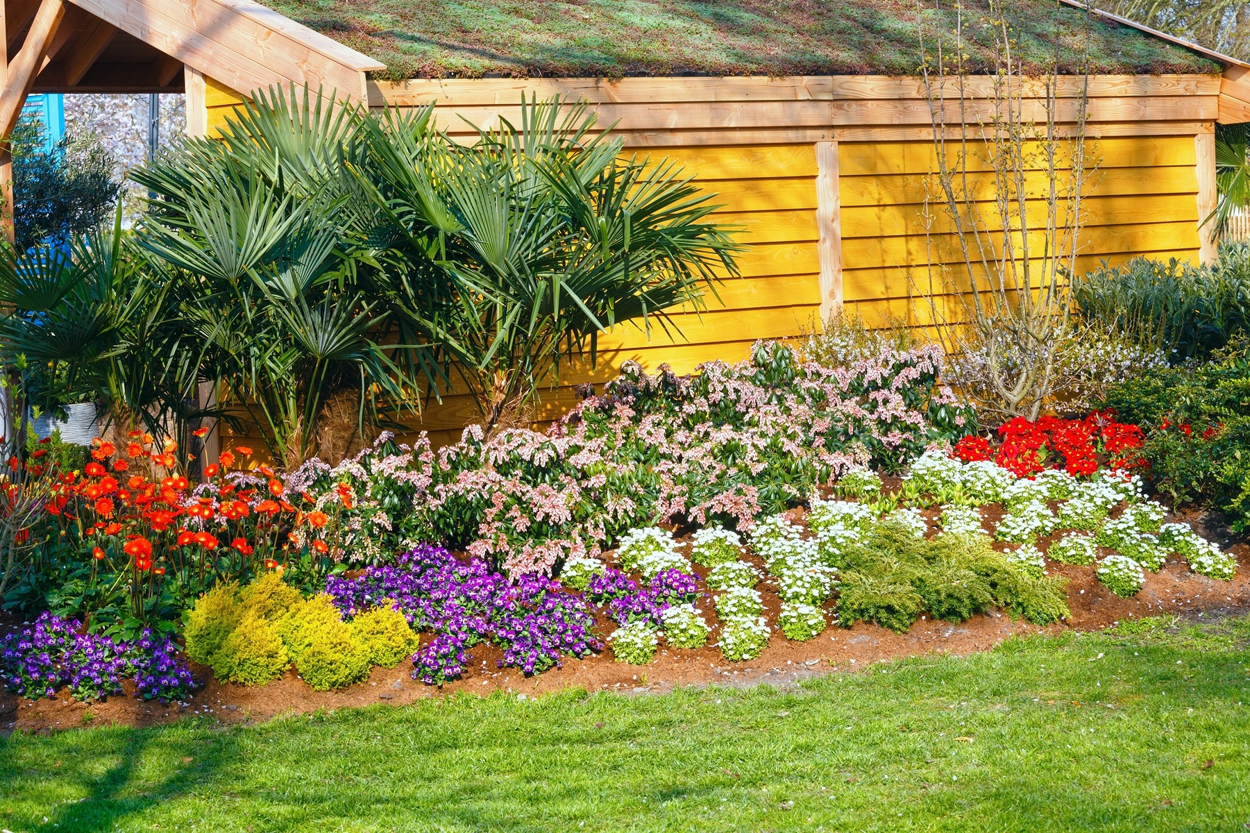 Beautiful flowers landscaped yard