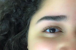 12814237 952298724865414 2121491539609065321 n