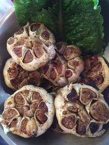 Garlic