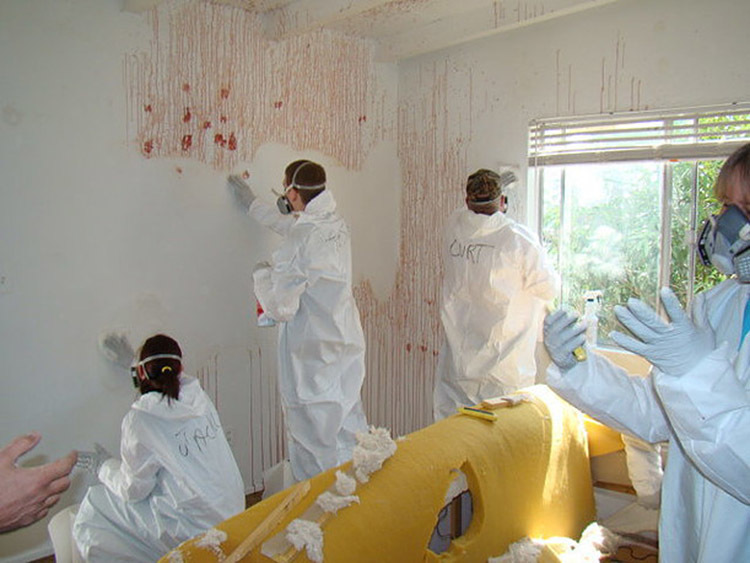 blood clean up blood clean up