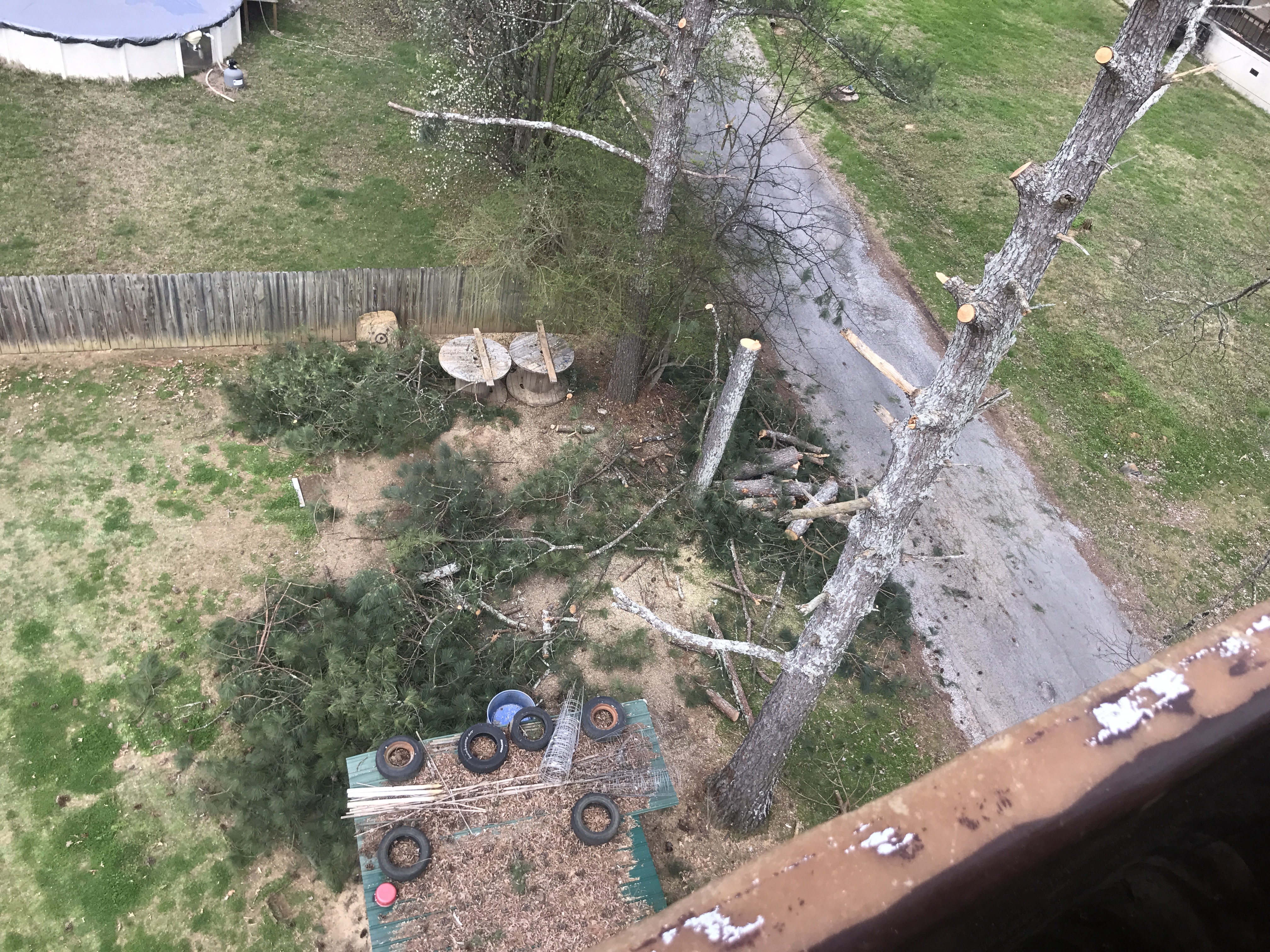 top notch tree service service inc serving the surrounding areas tree service company in albertville al 256 5726002 top notch top notch tree service service inc serving the surrounding areas tree service company in albertville al 256 5726002 top notch