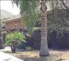 calpezlawncare3