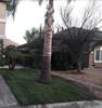 calpezlawncare5