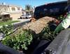 calpezlawncare11