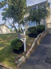 Soriano_C_Service_Landscaping_(4)