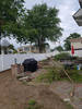Soriano_C_Service_Landscaping_(7)