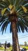 Image_(9)